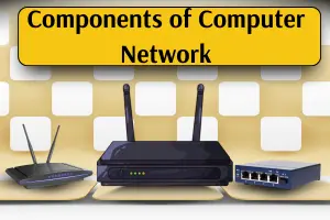 Components of a Computer network
