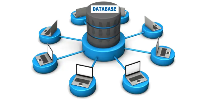 Database server connected to multiple laptops, exchanging and accessing data.