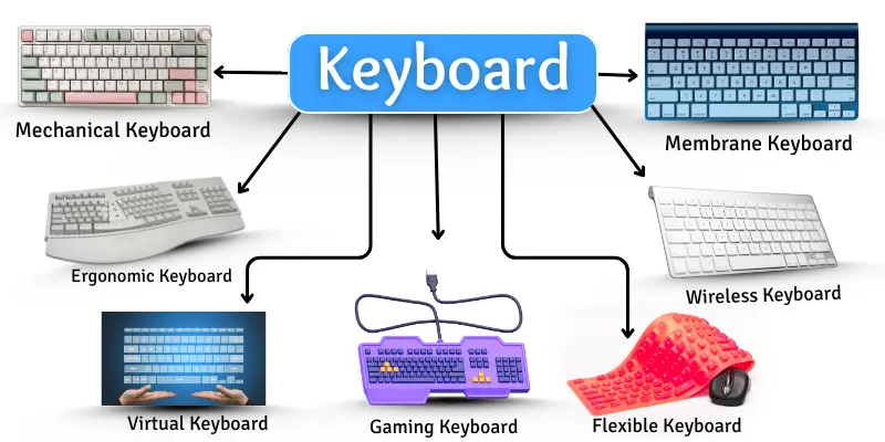 Keyboard names with images: mechanical, membrane, wireless, ergonomic, gaming, flexible, and virtual keyboards.