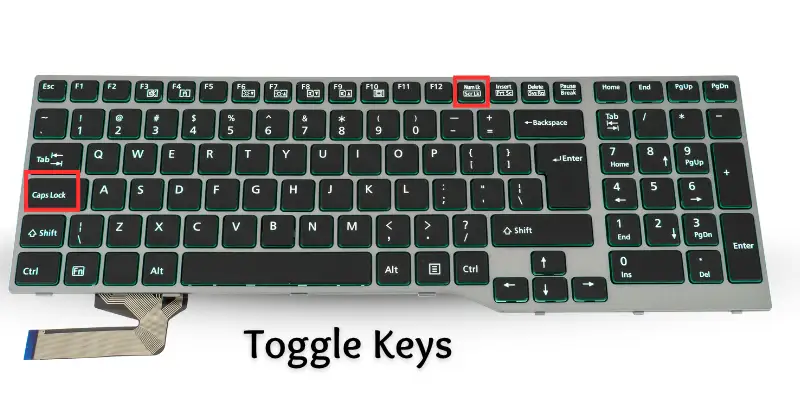 Image of toggle keys.