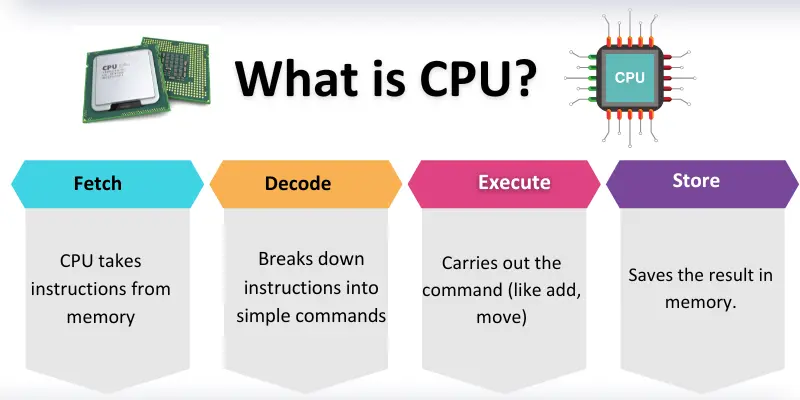 what is cpu working steps Infographic show CPU working process with fetch, decode, execute, and store steps explained visually.